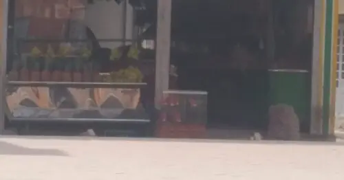 FRUTAS Y VERDURAS CALLE 56F BOGOTÁ